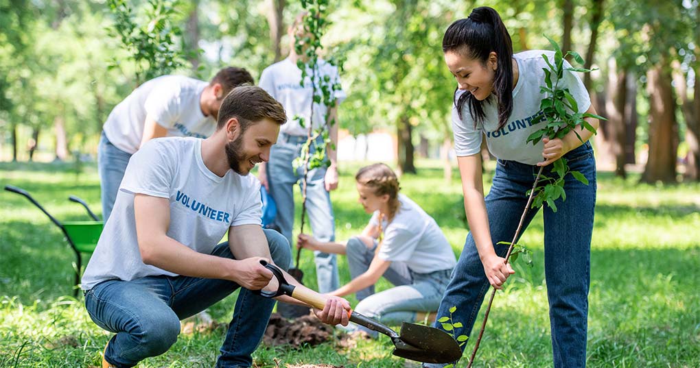A group of people planting new trees